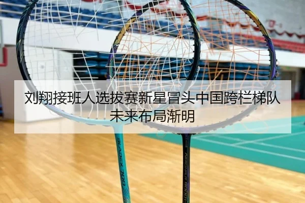 刘翔接班人选拔赛新星冒头中国跨栏梯队未来布局渐明